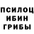Псилоцибиновые грибы ЛСД miccopassaro