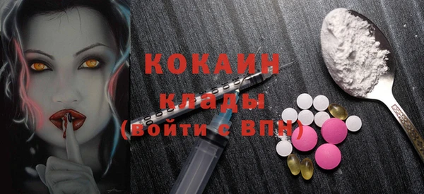 дурь Няндома