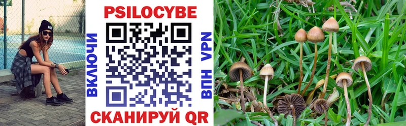 Псилоцибиновые грибы Magic Shrooms  Купить  Черногорск 