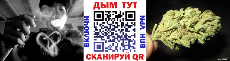 Купить где  Черногорск  МАРИХУАНА SATIVA & INDICA 